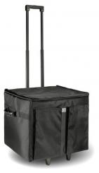 Tasche für LD Curv 500 - Bass 