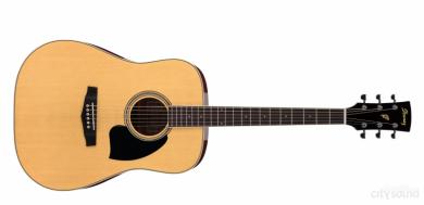 Ibanez Westerngitarre PF 15NT 